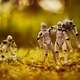 Illustration for article titled Punch the clock at the Death Star with Zahir Batin’s photos of Stormtroopers at work and play